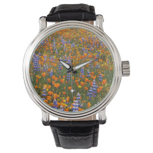 Montre États-Unis, Californie, Santa Margarita, Avenales