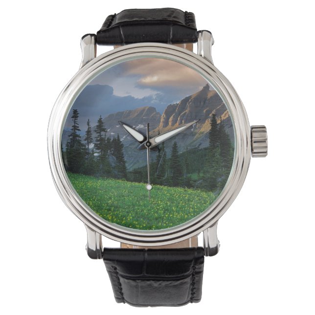 Montre États-Unis, Montana, Parc national des Glaciers, L (devant)