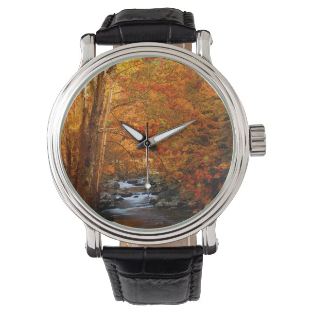 Montre États-Unis, Tennessee. Rushing Mountain Creek (devant)