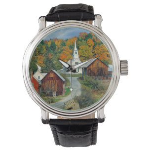 Montre États-Unis, Vermont, Waits River. Le feuillage d'a