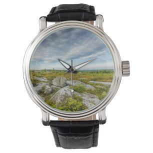 Montre États-Unis, Virginie occidentale, Davis. Landscape