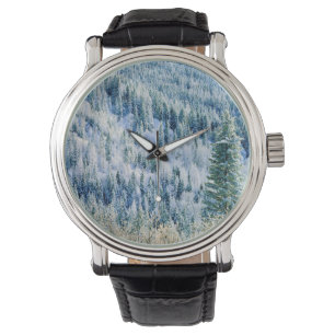 Montre États-Unis, Washington, Mt. Spokane State Park, As