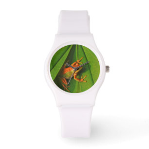 Montre États-Unis, Washington, Seattle, Discovery Park 2