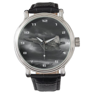 MONTRE F-22 RAPTOR