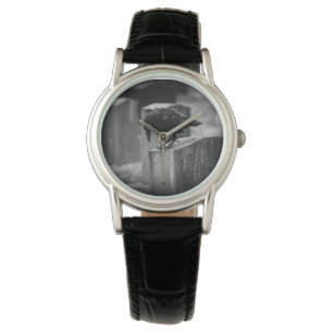 Montre Falln Cemetery Crow