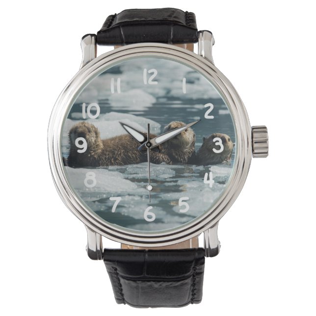 Montre Famille de loutres de mer (devant)