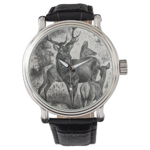 Montre Faon vintage de daine de mâle d'illustration de