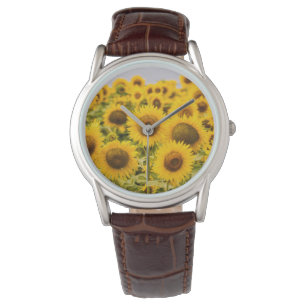 Montre Farms   A Sunflower