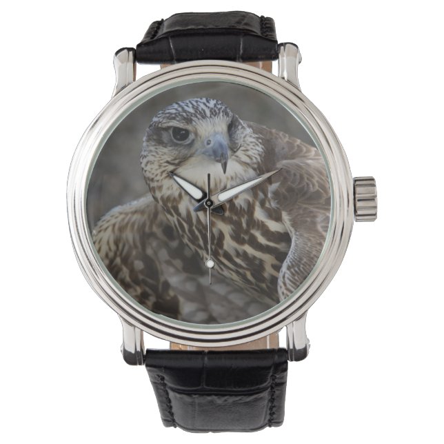 Montre Faucon (devant)