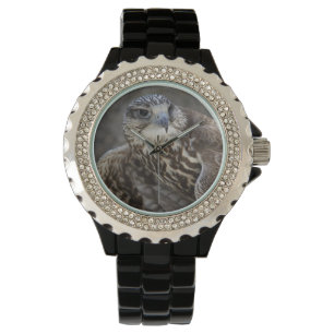 Montre Faucon