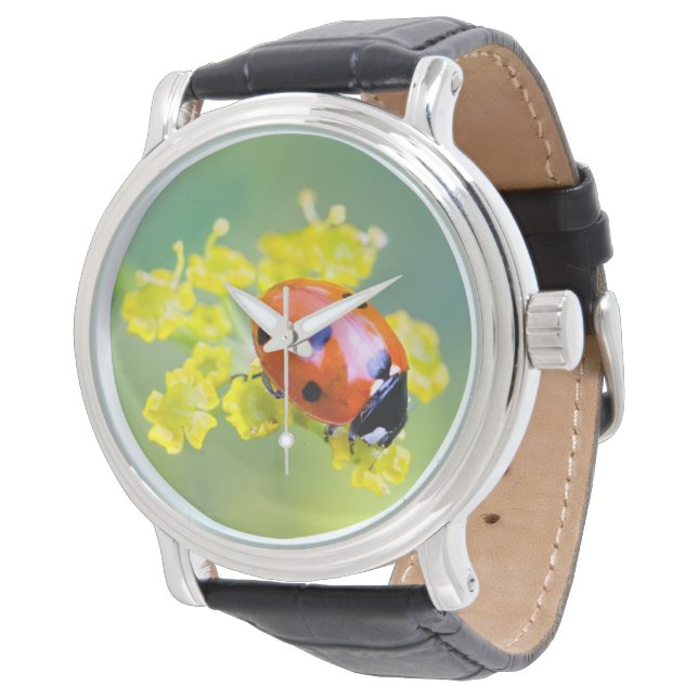 Montre femme au sommet (Incliné)