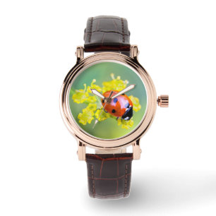 Montre femme au sommet