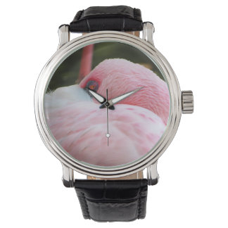 Montre Flamant rose