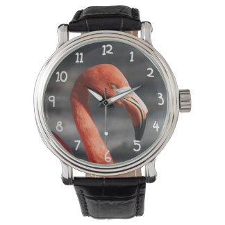 Montre Flamant rose rose