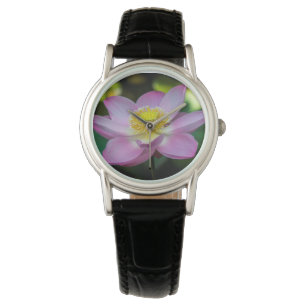 Montre Fleur de lotus en fleurs, Indonésie
