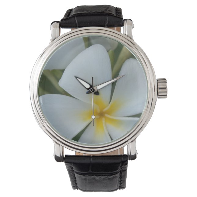Montre Fleur Tropicale Blanche De Fidji (devant)
