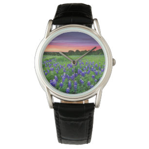 Montre Fleurs Bluebonnets à Sunset Texas