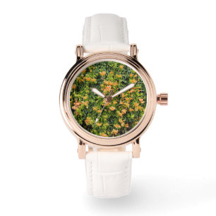 Montre Fleurs De Trompette Orange Sur Un Mur,
