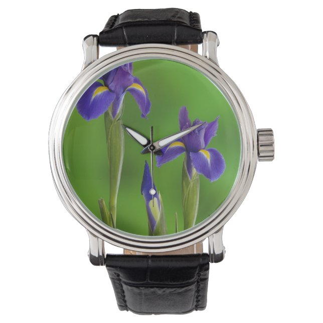 Montre Fleurs d'iris (devant)