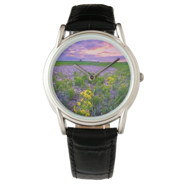 Montre Fleurs | North Dakota Red River Valley (devant)