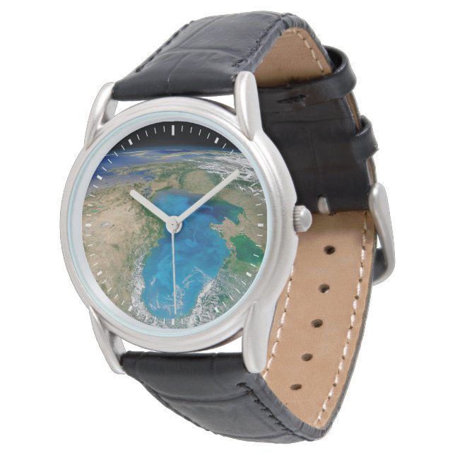 Montre Floraison De Phytoplancton Bleu En Mer Noire (Incliné)