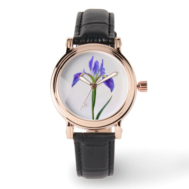Montre Flowers | Purple Iris Flower (Recto)
