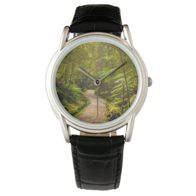 Montre Forêt | Chemin De Marche Dans La Forêt (devant)