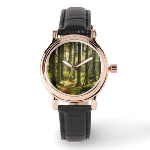 Montre Forêt Forêt boréale Suède