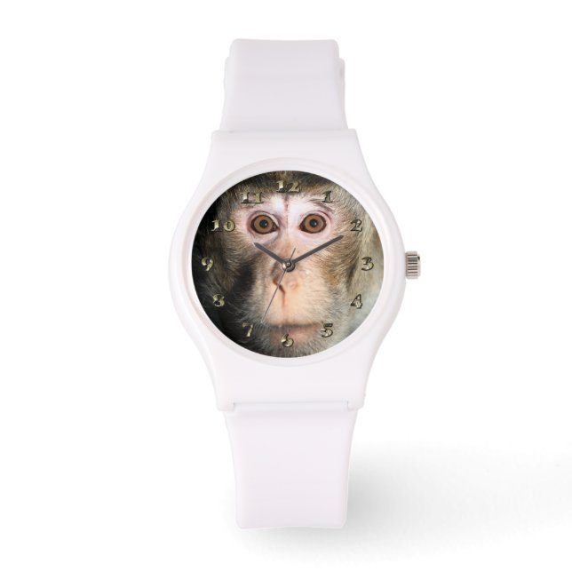 Montre Forêt pluviale en voie de disparition (Recto)