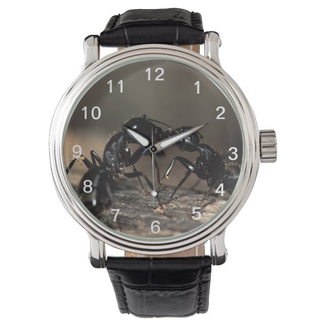 Montre fourmis s'embrasser (devant)