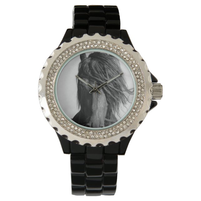 Montre Friesian Stallion au vent. (devant)