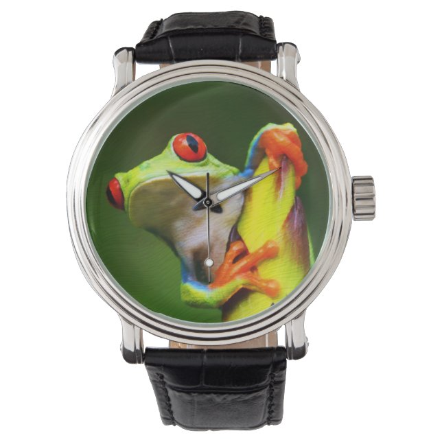 Montre Frog 2 Options de surveillance et de numérotation (devant)