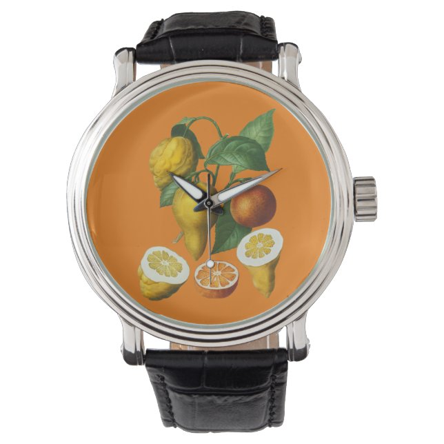 MONTRE FRUITS DE CITRÉ (devant)