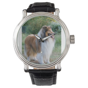 Montre full 5
