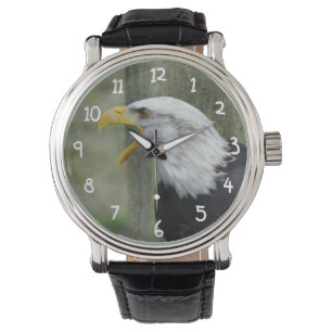Montre Fureur Eagle chauve