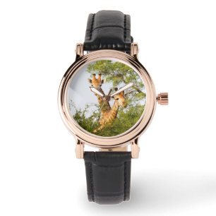Montre Girafes dépassant la végétation