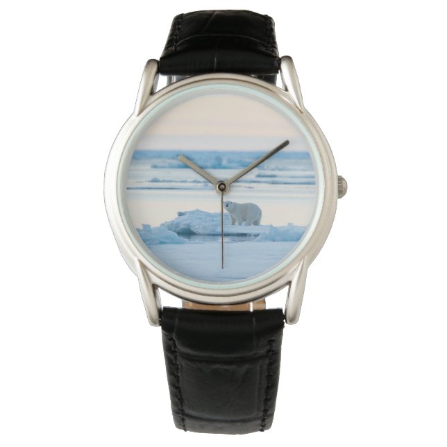 Montre Glace et neige | Ours polaire Iceberg Norvège (devant)