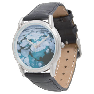 Montre Glace et neige Ours polaire, Océan Arctique, Sva