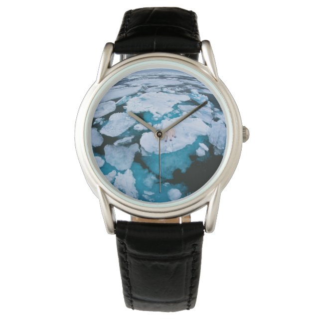 Montre Glace et neige | Ours polaire, Océan Arctique, Sva (devant)