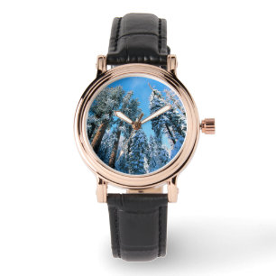 Montre Glace et neige   Parc national de Sequoia, Califor