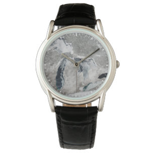 Montre Glace Sur Les Grands Lacs, États-Unis.