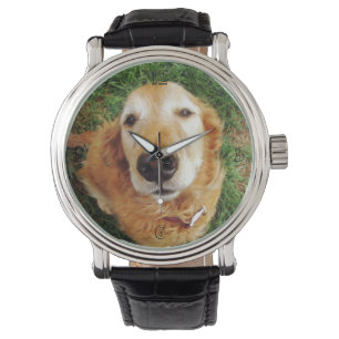 Montre Golden Retriever