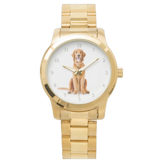 Montre Golden Retriever (devant)