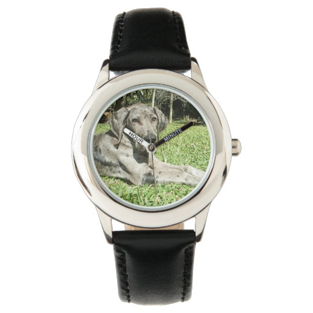Montre Grand Chien Danois (devant)