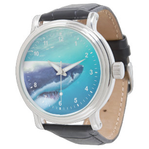 Montre Grand requin blanc Afrique du Sud