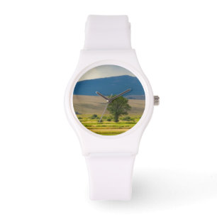 Montre Granite County Montana