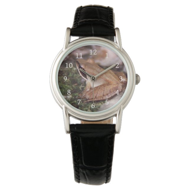 Montre Grenouille à bois (devant)