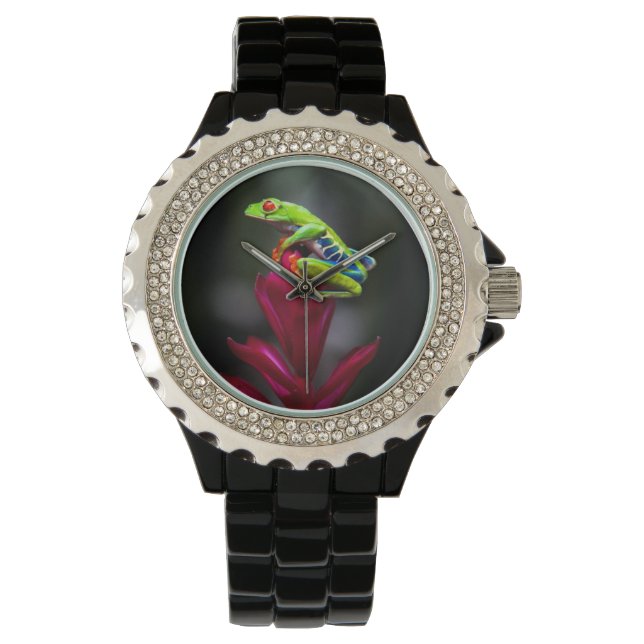 Montre Grenouille aux yeux rouges (devant)