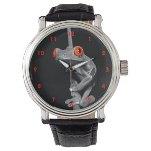 Montre Grenouille d'arbre observée par rouge