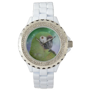 Montre Gros animal de perroquet macaw